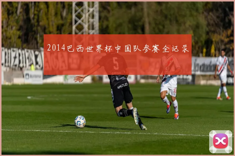2014巴西世界杯中国队参赛全记录